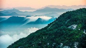 福州鼓山爆料案件最新,惊现神秘失踪事件,真相待解